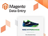 ecommerce magento product data entry